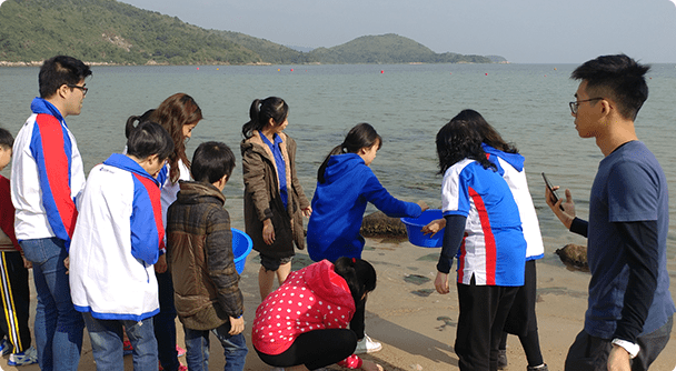 Local Collaborations to Promote Children's Holistic Development 